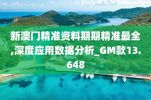 新澳門精準(zhǔn)資料期期精準(zhǔn)最全,深度應(yīng)用數(shù)據(jù)分析_GM款13.648