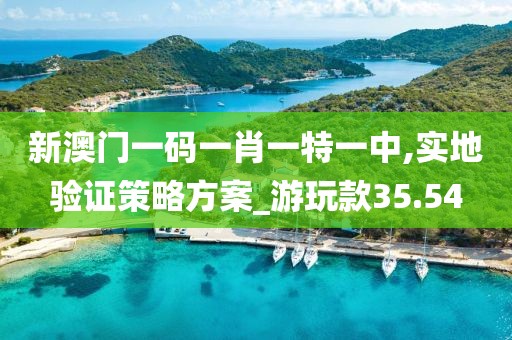 新澳門一碼一肖一特一中,實地驗證策略方案_游玩款35.54