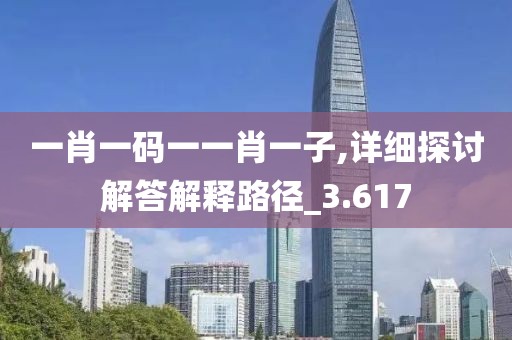 一肖一碼一一肖一子,詳細(xì)探討解答解釋路徑_3.617