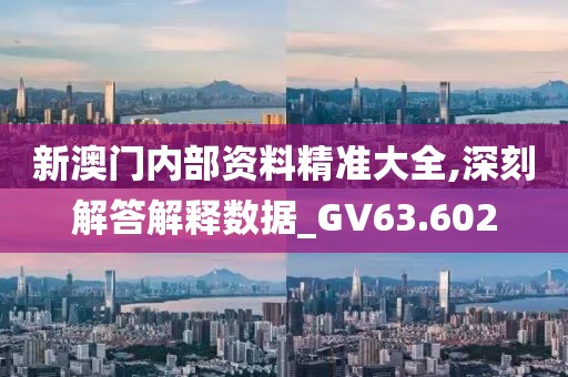 新澳門(mén)內(nèi)部資料精準(zhǔn)大全,深刻解答解釋數(shù)據(jù)_GV63.602