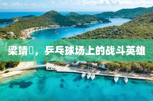 梁靖崑，乒乓球場(chǎng)上的戰(zhàn)斗英雄