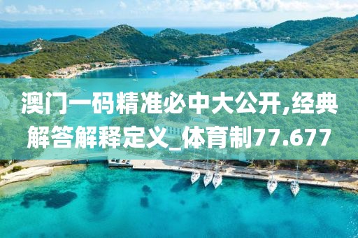 澳門一碼精準(zhǔn)必中大公開,經(jīng)典解答解釋定義_體育制77.677