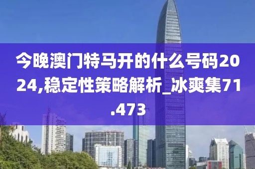 今晚澳門特馬開的什么號碼2024,穩(wěn)定性策略解析_冰爽集71.473