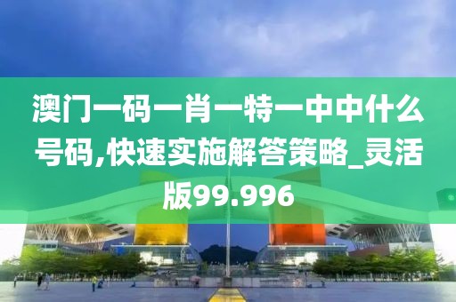 澳門一碼一肖一特一中中什么號碼,快速實施解答策略_靈活版99.996