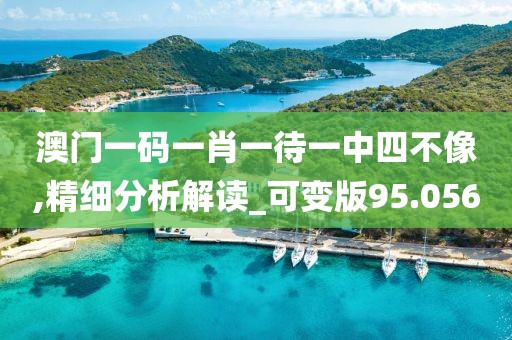 澳門一碼一肖一待一中四不像,精細分析解讀_可變版95.056