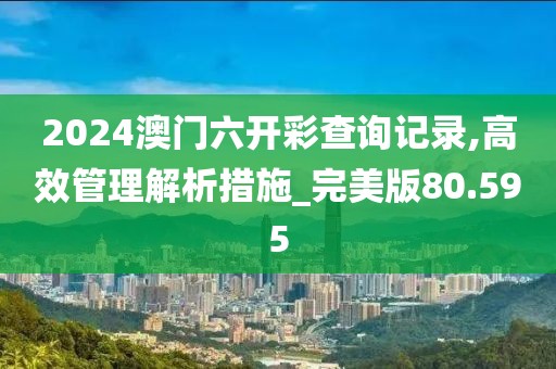 2024澳門六開彩查詢記錄,高效管理解析措施_完美版80.595