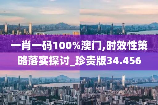 一肖一碼100%澳門,時效性策略落實探討_珍貴版34.456