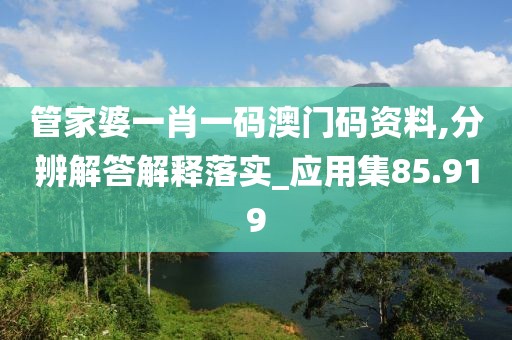 管家婆一肖一碼澳門碼資料,分辨解答解釋落實_應(yīng)用集85.919