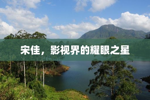 宋佳，影視界的耀眼之星