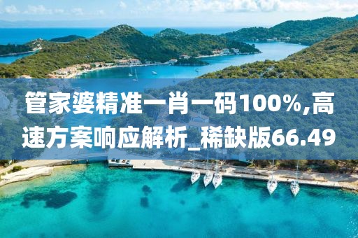 管家婆精準一肖一碼100%,高速方案響應解析_稀缺版66.49