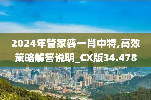 2024年管家婆一肖中特,高效策略解答說明_CX版34.478