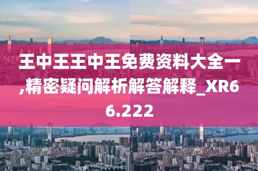 王中王王中王免費(fèi)資料大全一,精密疑問(wèn)解析解答解釋_XR66.222