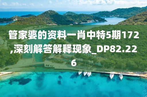 管家婆的資料一肖中特5期172,深刻解答解釋現(xiàn)象_DP82.226