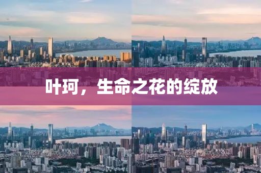 葉珂，生命之花的綻放