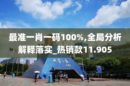 最準一肖一碼100%,全局分析解釋落實_熱銷款11.905