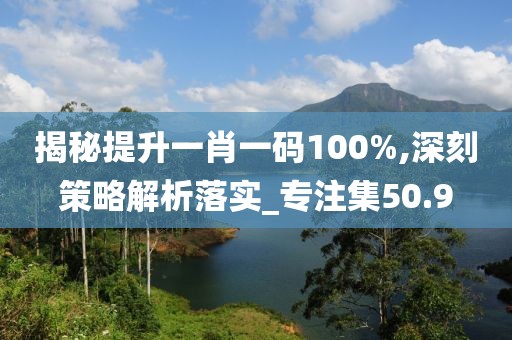 揭秘提升一肖一碼100%,深刻策略解析落實_專注集50.9