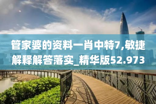 管家婆的資料一肖中特7,敏捷解釋解答落實_精華版52.973