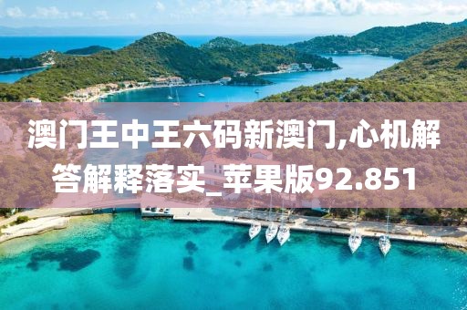 澳門(mén)王中王六碼新澳門(mén),心機(jī)解答解釋落實(shí)_蘋(píng)果版92.851