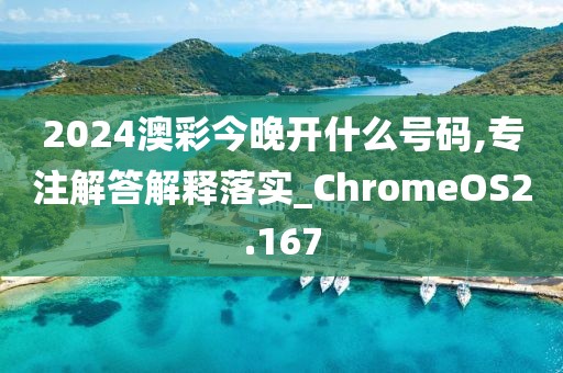 2024澳彩今晚開什么號碼,專注解答解釋落實_ChromeOS2.167