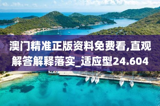 澳門精準(zhǔn)正版資料免費(fèi)看,直觀解答解釋落實(shí)_適應(yīng)型24.604