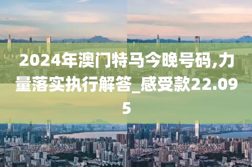 2024年澳門特馬今晚號(hào)碼,力量落實(shí)執(zhí)行解答_感受款22.095