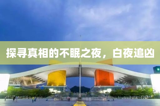 探尋真相的不眠之夜，白夜追兇