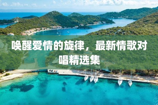 喚醒愛情的旋律，最新情歌對唱精選集
