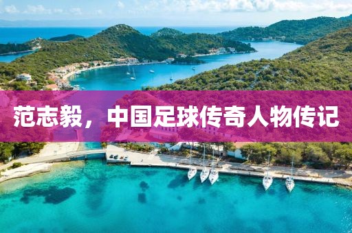 范志毅，中國足球傳奇人物傳記