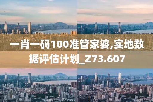 一肖一碼100準(zhǔn)管家婆,實地數(shù)據(jù)評估計劃_Z73.607