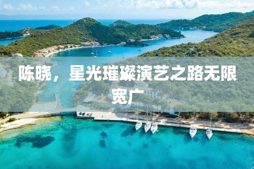 陳曉，星光璀璨演藝之路無(wú)限寬廣