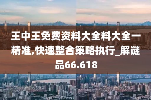王中王免費(fèi)資料大全料大全一精準(zhǔn),快速整合策略執(zhí)行_解謎品66.618