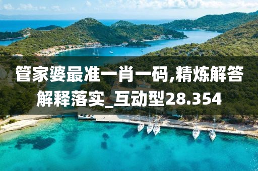 管家婆最準(zhǔn)一肖一碼,精煉解答解釋落實(shí)_互動(dòng)型28.354