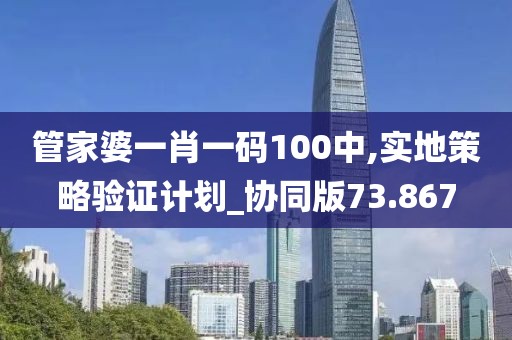 管家婆一肖一碼100中,實(shí)地策略驗(yàn)證計(jì)劃_協(xié)同版73.867