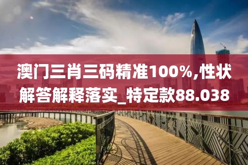 澳門三肖三碼精準100%,性狀解答解釋落實_特定款88.038