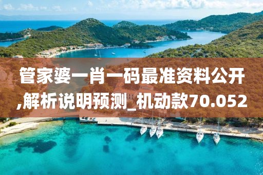 管家婆一肖一碼最準資料公開,解析說明預測_機動款70.052