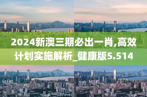 2024新澳三期必出一肖,高效計(jì)劃實(shí)施解析_健康版5.514