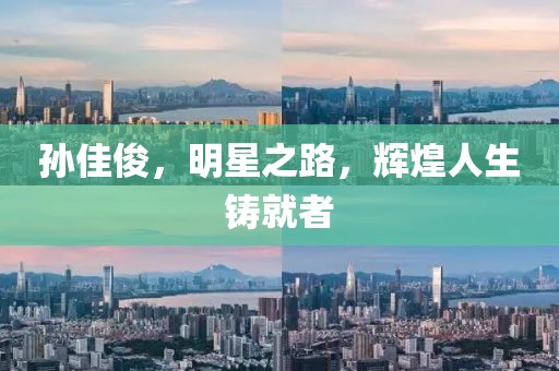 孫佳俊，明星之路，輝煌人生鑄就者