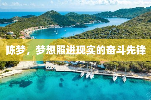 陳夢(mèng)，夢(mèng)想照進(jìn)現(xiàn)實(shí)的奮斗先鋒
