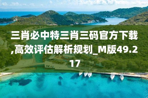 三肖必中特三肖三碼官方下載,高效評(píng)估解析規(guī)劃_M版49.217