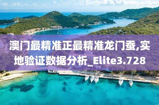澳門最精準正最精準龍門蠶,實地驗證數(shù)據(jù)分析_Elite3.728