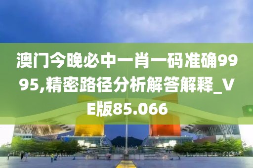 澳門今晚必中一肖一碼準(zhǔn)確9995,精密路徑分析解答解釋_VE版85.066