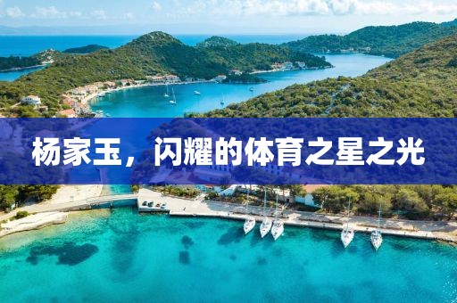 楊家玉，閃耀的體育之星之光