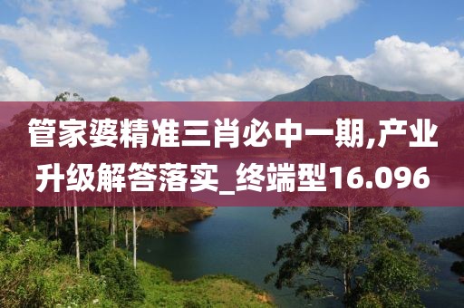 管家婆精準三肖必中一期,產(chǎn)業(yè)升級解答落實_終端型16.096
