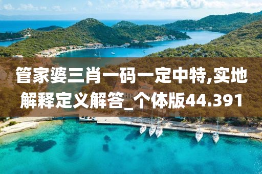 管家婆三肖一碼一定中特,實(shí)地解釋定義解答_個(gè)體版44.391