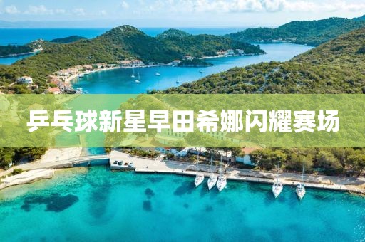 乒乓球新星早田希娜閃耀賽場(chǎng)
