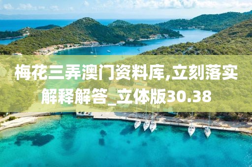 梅花三弄澳門資料庫,立刻落實解釋解答_立體版30.38