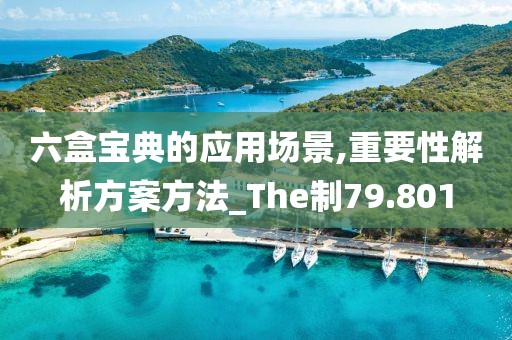 六盒寶典的應(yīng)用場景,重要性解析方案方法_The制79.801