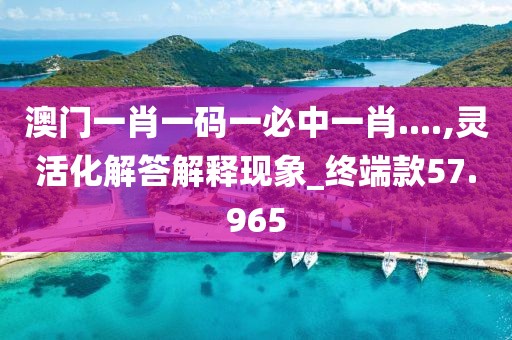 澳門一肖一碼一必中一肖....,靈活化解答解釋現(xiàn)象_終端款57.965