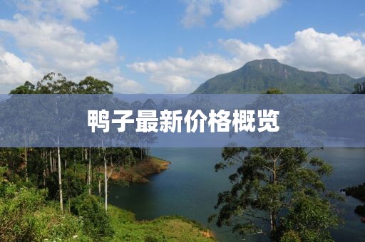 鴨子最新價(jià)格概覽
