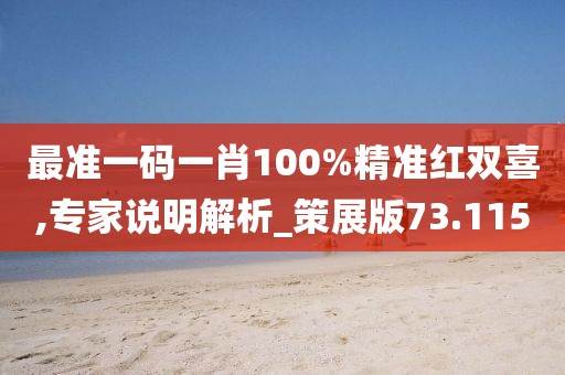 最準(zhǔn)一碼一肖100%精準(zhǔn)紅雙喜,專家說明解析_策展版73.115